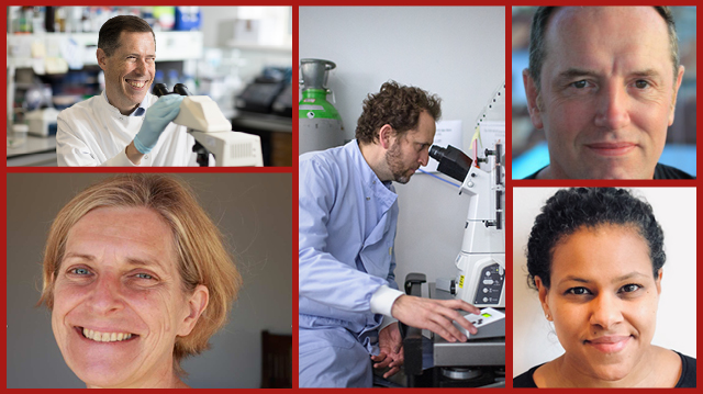 Imperial Malaria experts