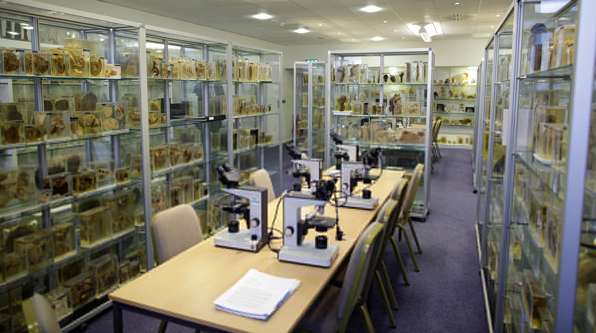Pathology museum