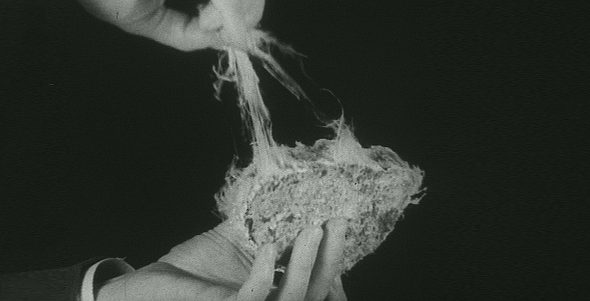 Asbestos fibres