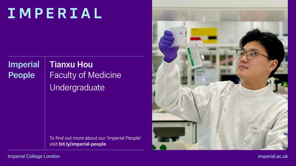 Tianxu Hou, Undergraduate, Faculty of Medicine