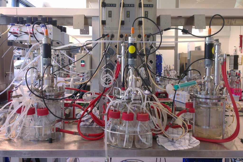 Bioreactor in the lab.